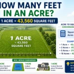 How Many Feet in an Acre Complete Guide