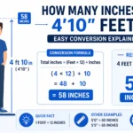 How Many Inches Is 4'10 Feet Complete Guide