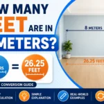 how many feet are in 8 meters