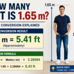 how many feet is 1.65 m