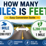 how many miles is feet