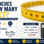 59 inches how many feet