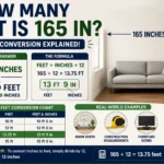 How Many Feet Is 165 In? Easy Conversion Guide