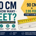 90 cm is how many feet