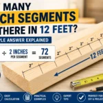 how many 2 inch segments are there in 12 feet