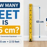 how many feet is 65 cm
