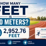 how many feet is 900 meters