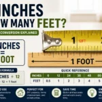 12 inches is how many feet