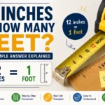 12 inches is how many feet